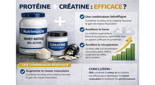 infographie whey+ créatine